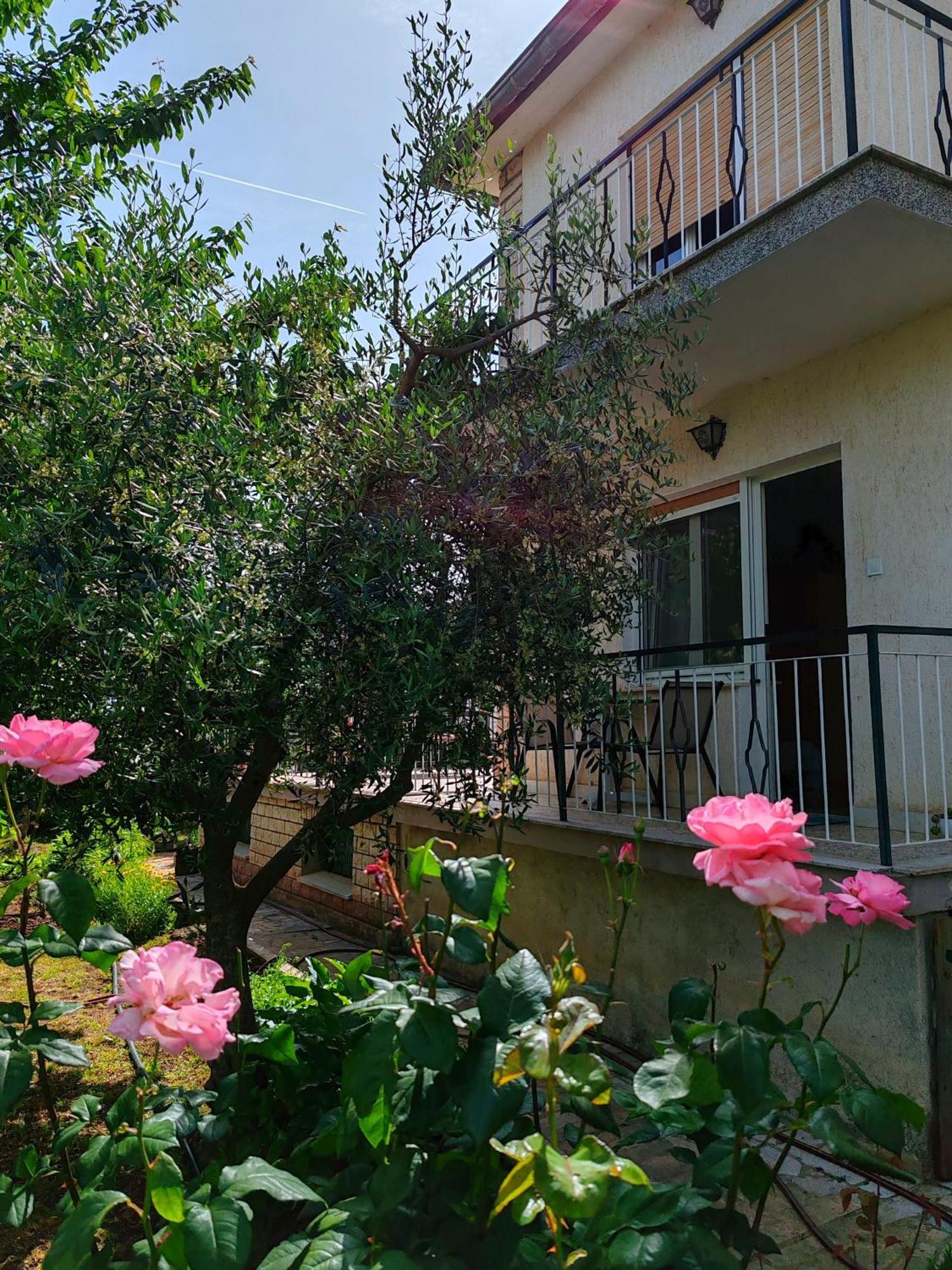 רוביני Apartment Nina מראה חיצוני תמונה